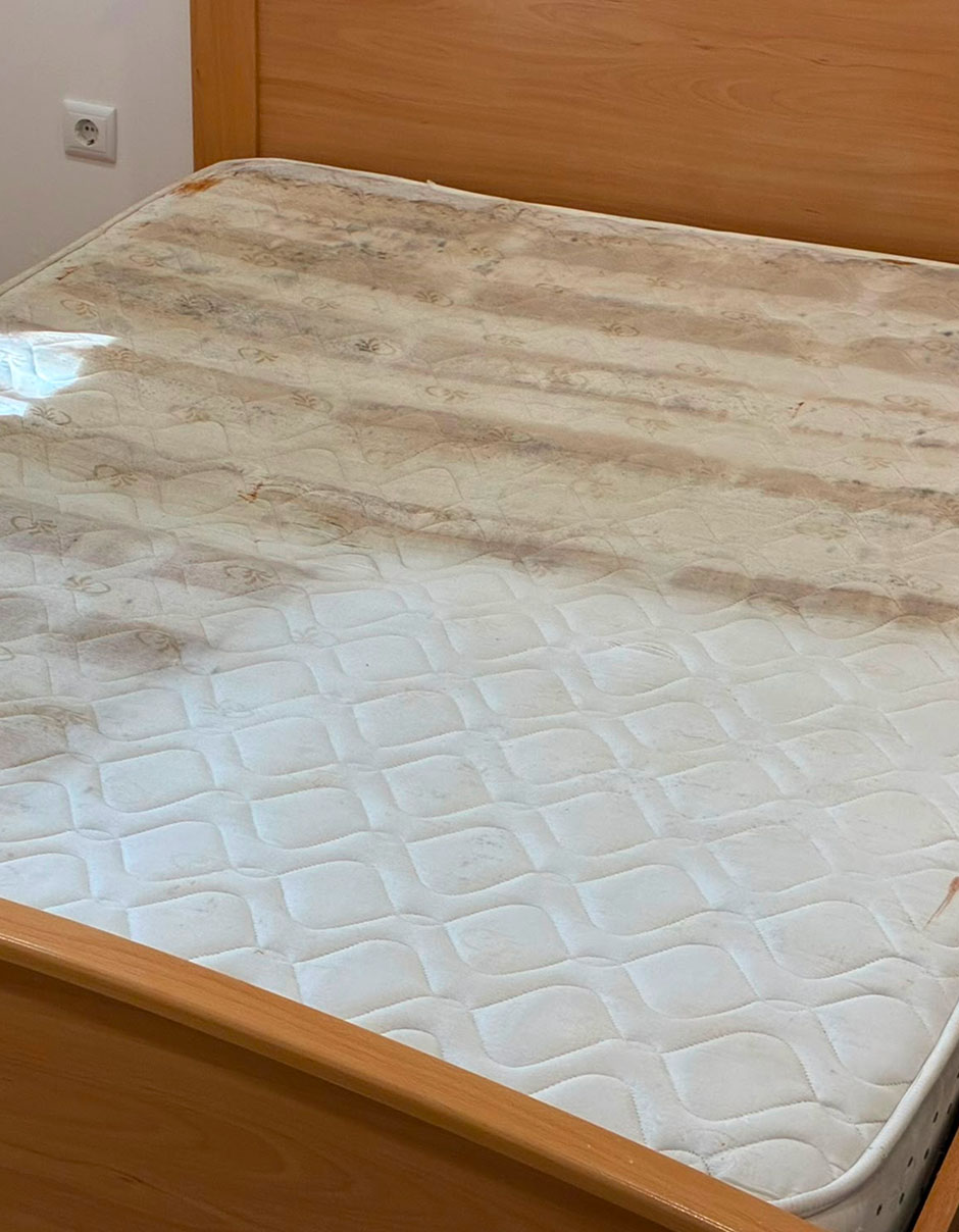 Colchão de cama depois da higienização